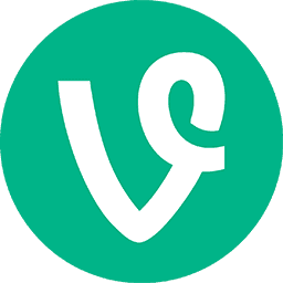View Pricing Vine Followers